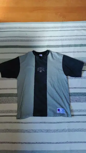 Champion USA 로고 T셔츠 XL