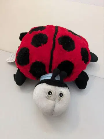 11월 말 처분 Zoobies 무당벌레 봉제 인형 담요