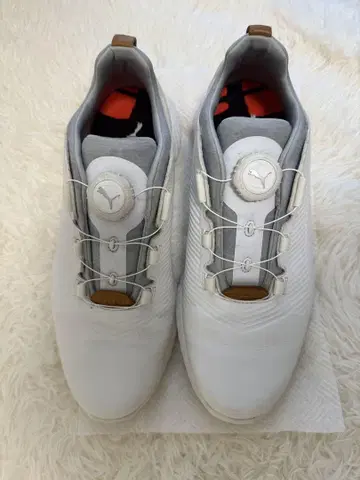 PUMA IGNITE 골프화 25cm 슈즈 케이스 포함