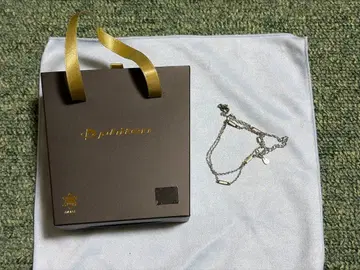파이텐 목걸이 티타늄 체인 스테이션