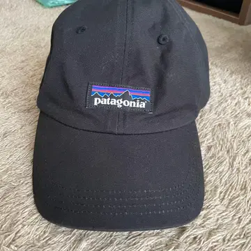 patagonia 블랙 캡 모자 파타고니아