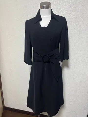 새상품 비올라