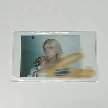 츠바키 꿈 먹는 neon 사인 폴라로이드 가로