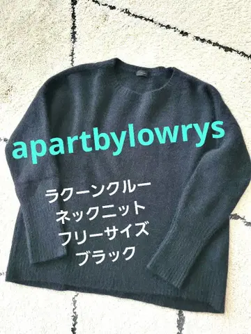 apartbylowrys 라쿤 크루넥 니트 블랙