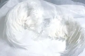 딜러님 제작 인형 날개