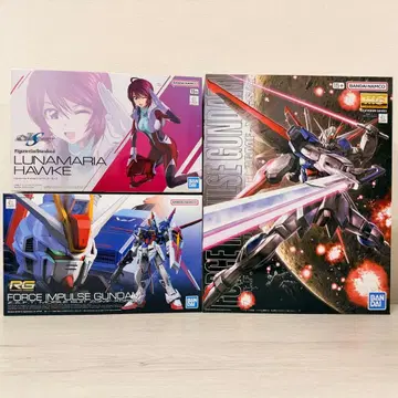 건담 프라모델 세트 (MG/RG 포스 임펄스 건담, FrS 루나 마리아)