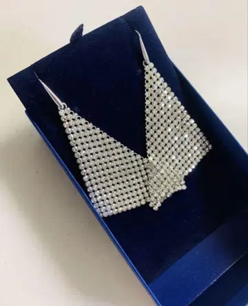 SWAROVSKI Fit 귀걸이