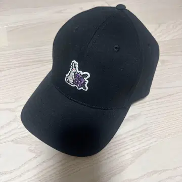 FR2 나데시코 한정판 캡