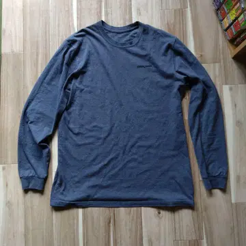 patagonia 피츠로이 바이슨 긴팔