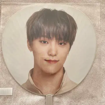 SEVENTEEN 부채 디노