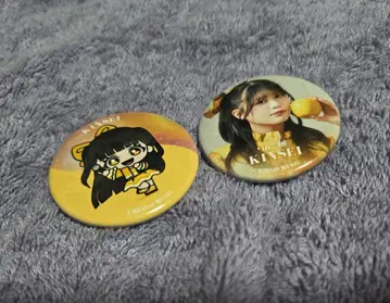 사과 아가씨 금성 캔뱃지