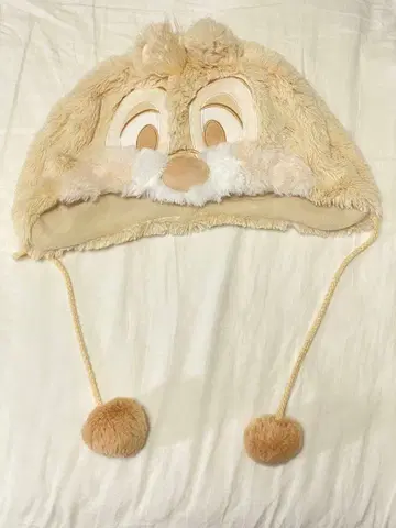 도쿄 디즈니 리조트 칩과 데일