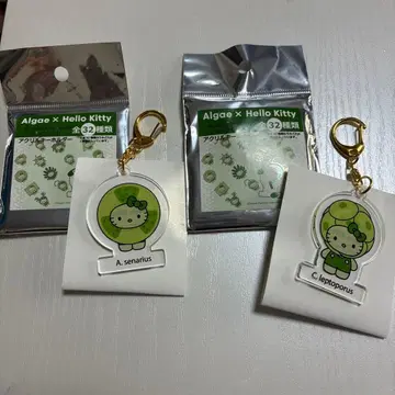 Algae x Hello Kitty 아크릴 키링