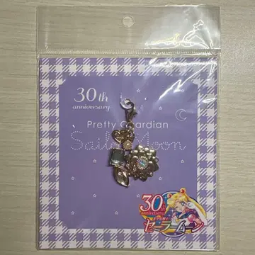 세일러문 지퍼 참 환상의 은수정