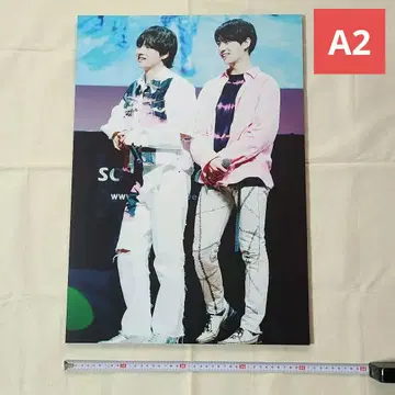 배송비 포함 정국 태현 액자 A2 매트