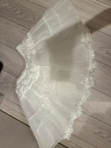 파니에