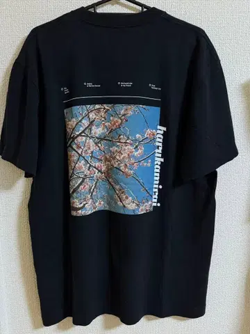 하루카미라이 T셔츠 L사이즈