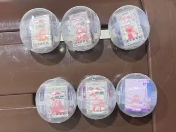 죠죠의 기묘한 모험 콩 가샤 도서 컴플리트 6종류 컴프 콩도서