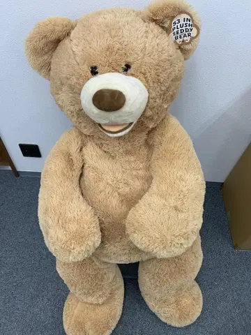 [ 정품 택 포함 ] 코스트코 곰 봉제 인형