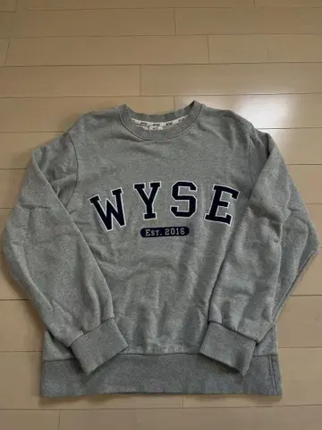 WYSE 그레이 맨투맨 트레이닝복