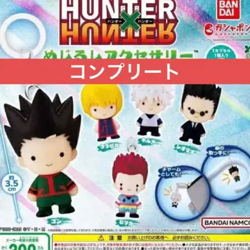 전 5종 컴프 HUNTER x HUNTER 메지루시 액세서리 가챠가챠