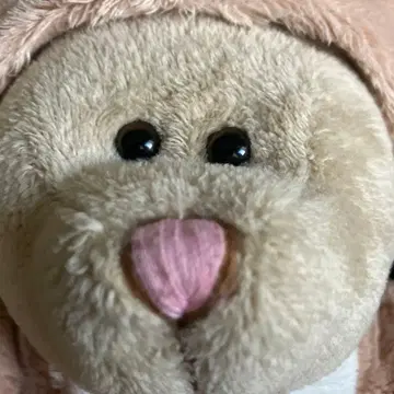 레어 스타벅스 봉제 인형 곰 2007년제