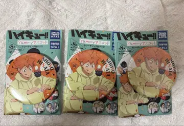 하이큐 yummy 마스코트 캔뱃지 히나타 쇼요