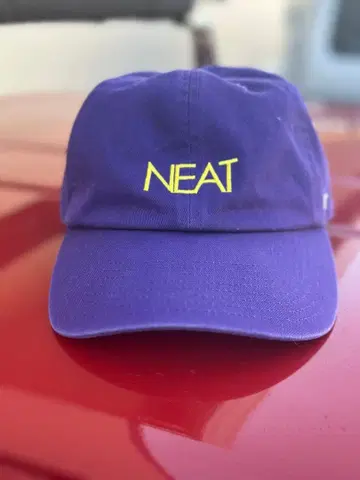 NEAT 캡 47