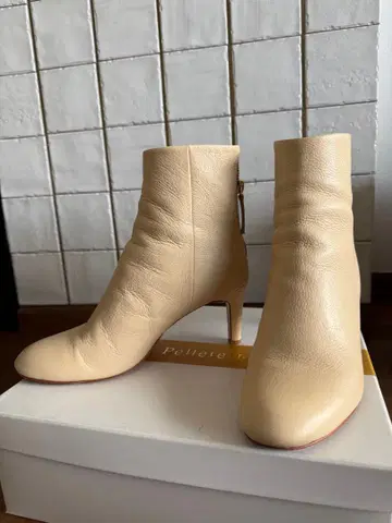 펠레테르노 숏부츠