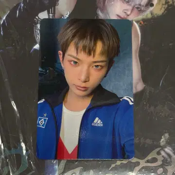 HARUA andteam BtL 시부야 타워 레코드 한정판 트레이딩 카드