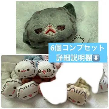 포메라니안 스크런치