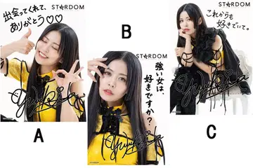 아이바 아이나 프로레슬링 A4 포트레이트 컴플리트 세트