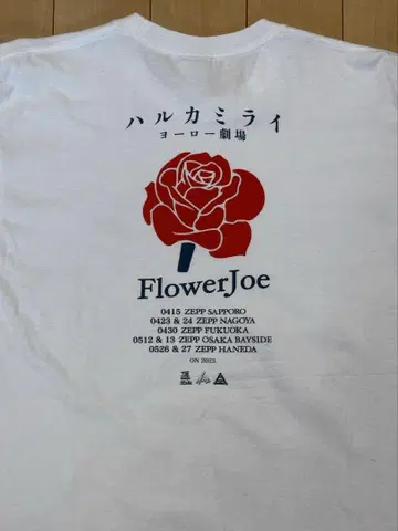 하루카미라이 T셔츠 L사이즈