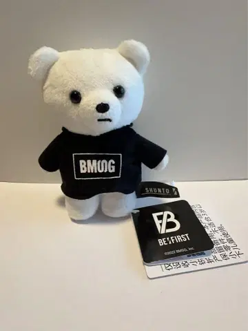 BE:FIRST SHUNTO 곰 봉제 인형 BMSG