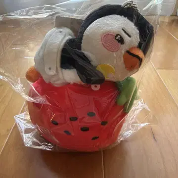 2PM 준호 이치고 펭귄 백참 봉제 인형