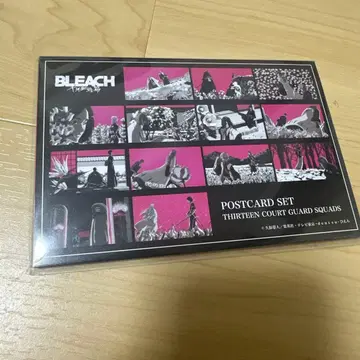 BLEACH 애니메이션 재팬 애니플렉스 호정 13대 엽서 세트