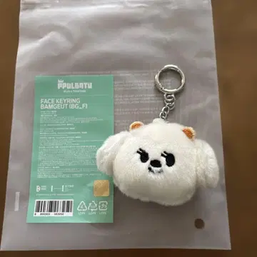TXT 범규 페이스 키링