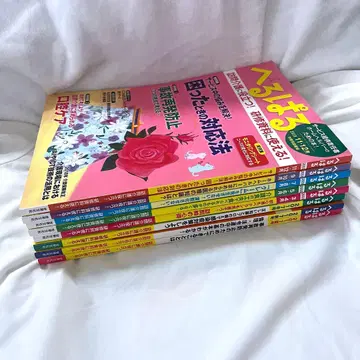 헬파르 2017년 2018년