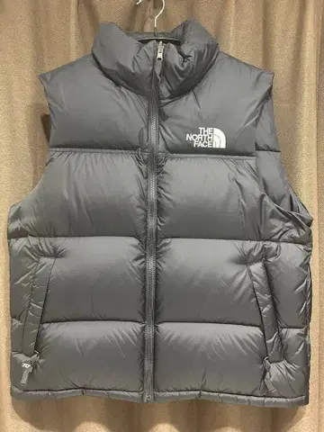 THE NORTH FACE 1996 레트로 눕시 다운 베스트