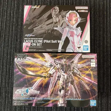 HG MIGHTY STRIKE FREEDOM 라크스 클라인 피규어