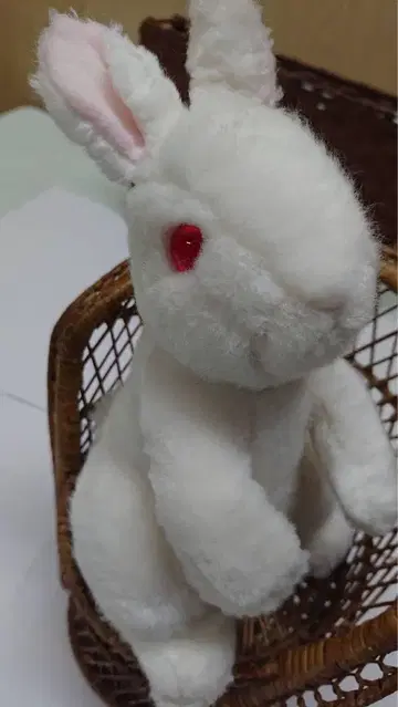 우에노 동물원 토끼 봉제 인형 레어