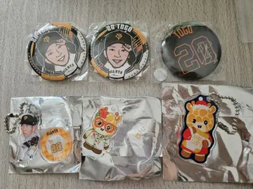 토고 쇼세이 굿즈 6종 세트