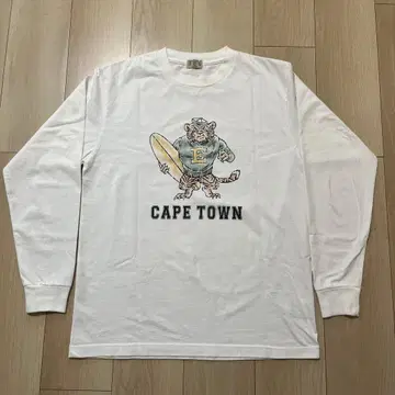 TES CAPE TOWN 셔츠 M 긴팔 thaEndlessSummer