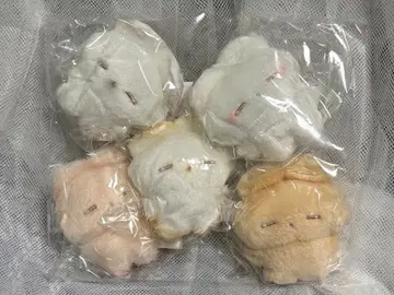 [전 5종 컴프] 토끼의 네무짱 쁘띠 마스코트 봉제 인형