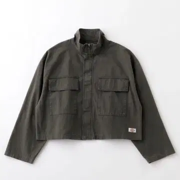Dickies 숏 스탠드 자켓