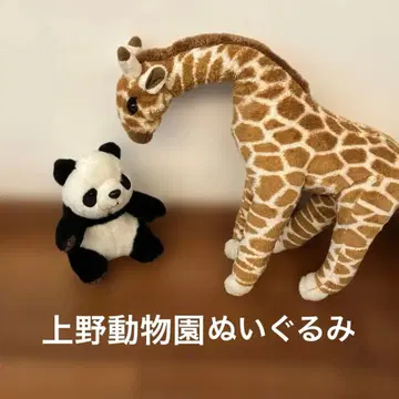 우에노 동물원 포키포키 팬더 기린 봉제 인형 세트