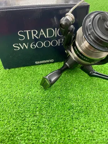 SHIMANO STRADIC SW 6000HG