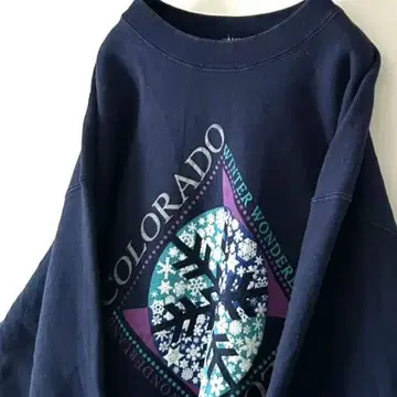 USA제 프룻 오브 더 룸 콜로라도 맨투맨 L 네이비 구제 의류