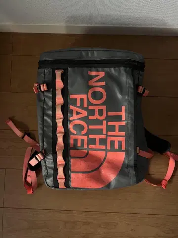 THE NORTH FACE 백팩 그레이/핑크