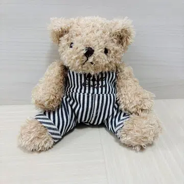 타리즈 베어풀 오버롤
